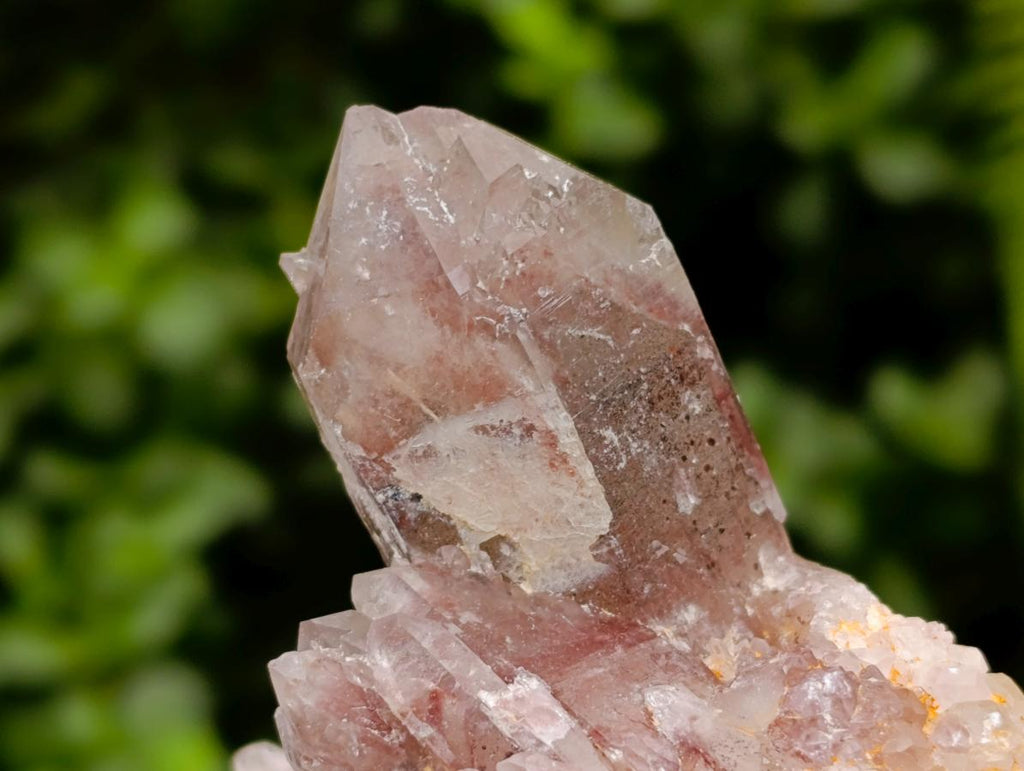 Natural Red Hematoid Quartz Crystal Clusters x 3 From Karoi, Zimbabwe