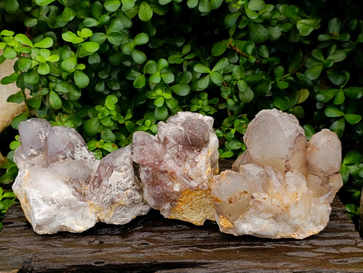 Natural Red Hematoid Quartz Crystal Clusters x 3 From Karoi, Zimbabwe
