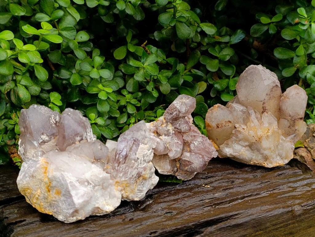 Natural Red Hematoid Quartz Crystal Clusters x 3 From Karoi, Zimbabwe