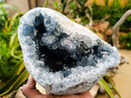 Natural Large Blue Celestite Geode Specimen x 1 From Sakoany, Madagascar