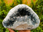 Natural Large Blue Celestite Geode Specimen x 1 From Sakoany, Madagascar