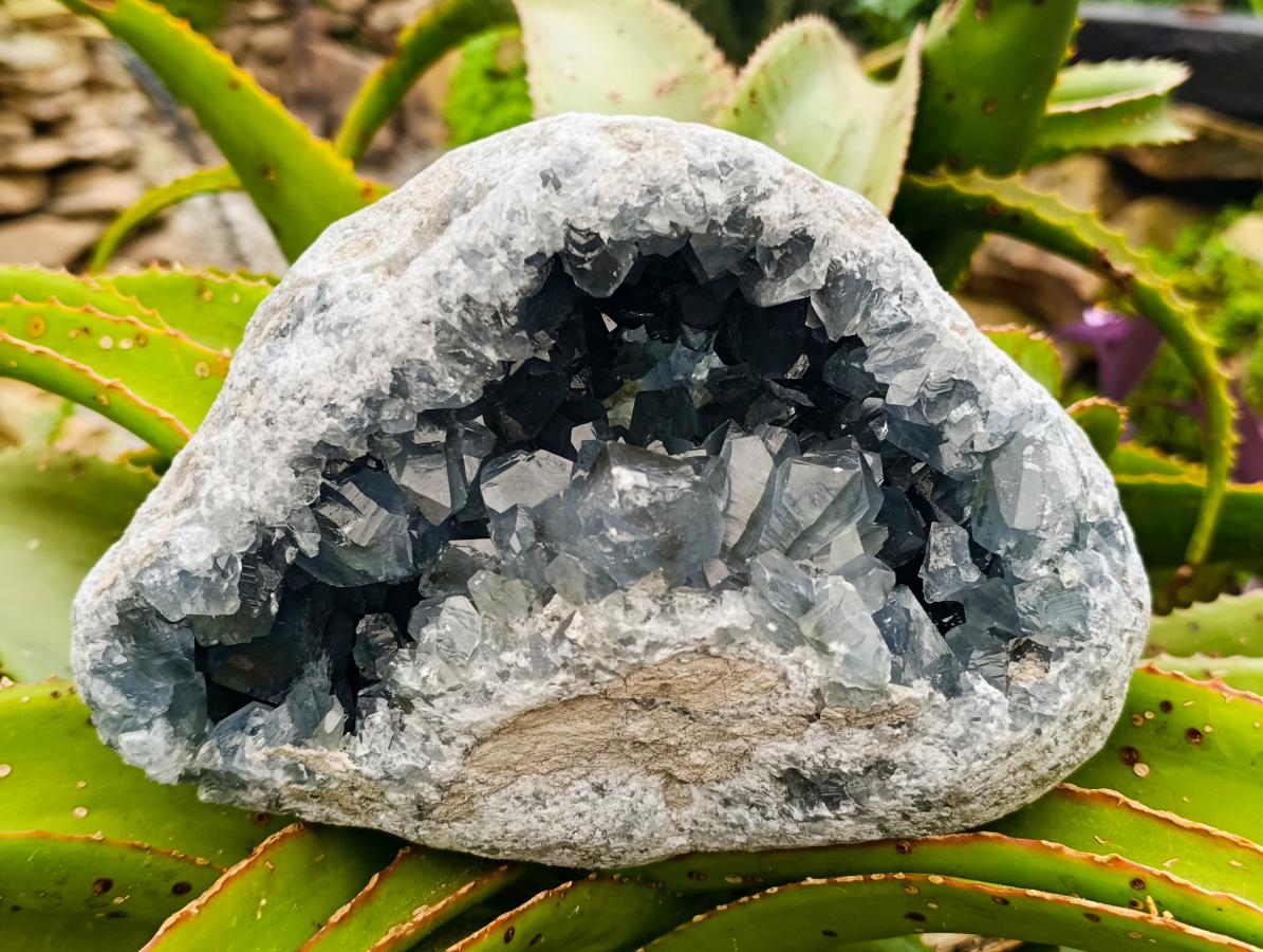 Natural Large Blue Celestite Geode Specimen x 1 From Sakoany, Madagascar
