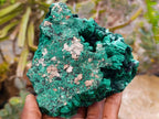 Natural Silky Malachite Specimen x 2 From Kasompe, Congo