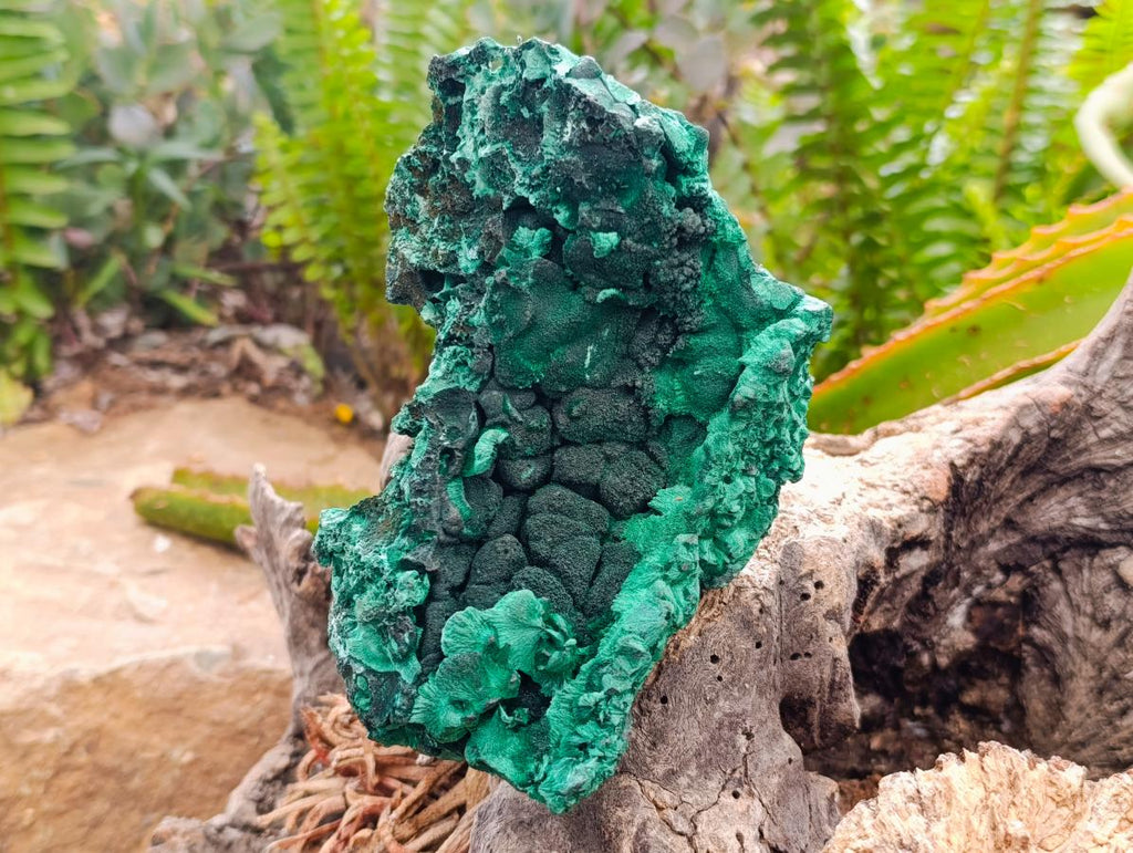 Natural Silky Malachite Specimen x 2 From Kasompe, Congo