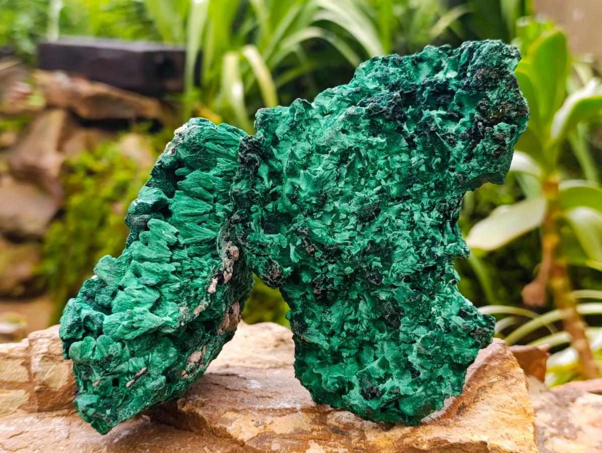 Natural Silky Malachite Specimen x 2 From Kasompe, Congo