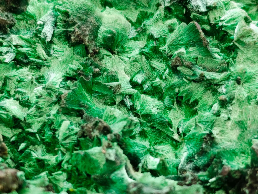 Natural Silky Malachite Specimen x 2 From Kasompe, Congo