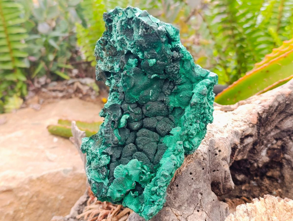 Natural Silky Malachite Specimen x 2 From Kasompe, Congo