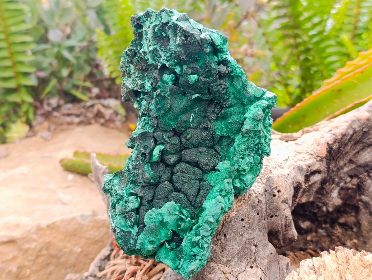 Natural Silky Malachite Specimen x 2 From Kasompe, Congo