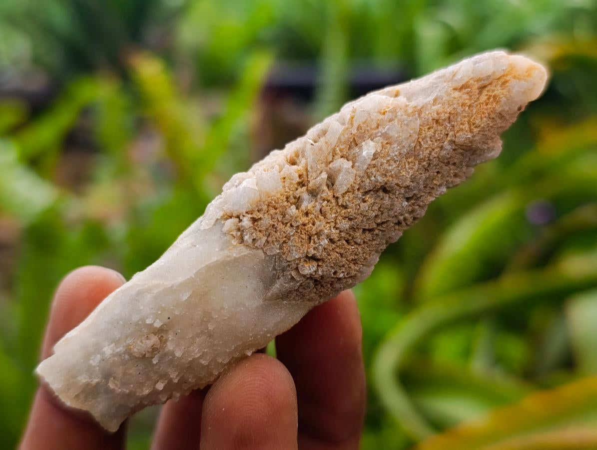 Natural Drusy Quartz Coated Spearhead Calcite Crystals x 24 From Albert's Mountain, Lesotho