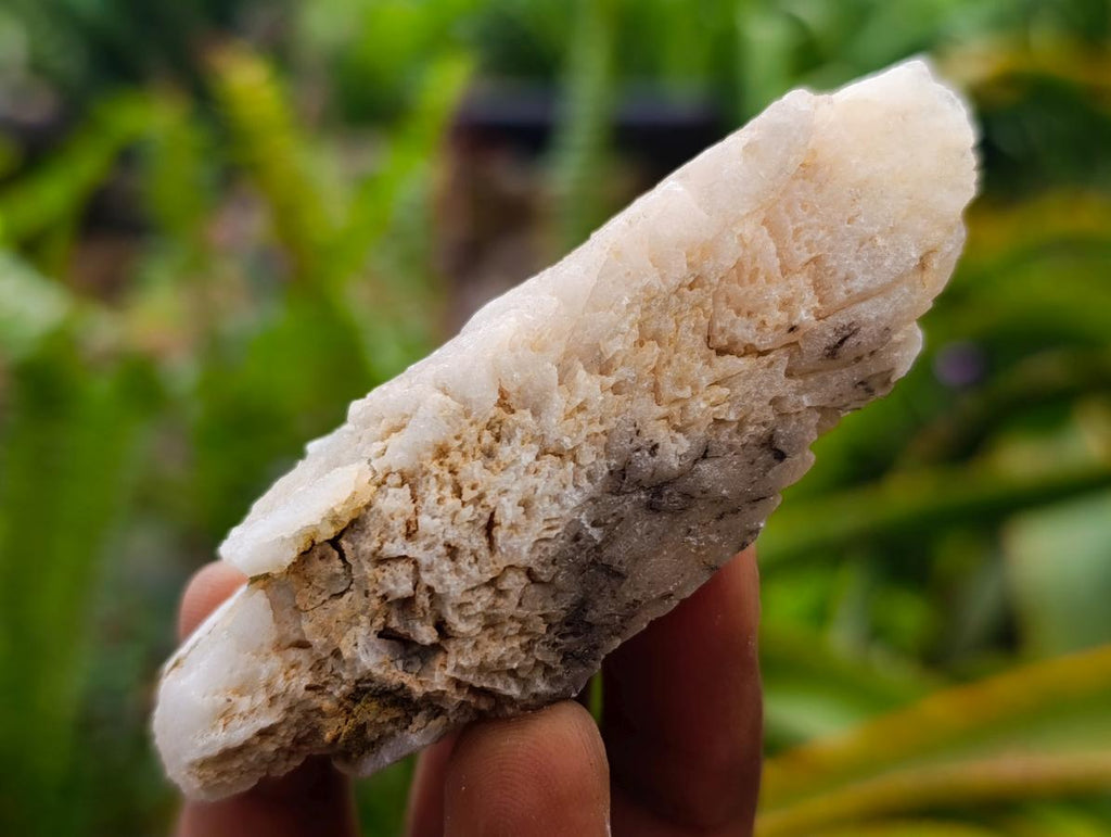 Natural Drusy Quartz Coated Spearhead Calcite Crystals x 24 From Albert's Mountain, Lesotho