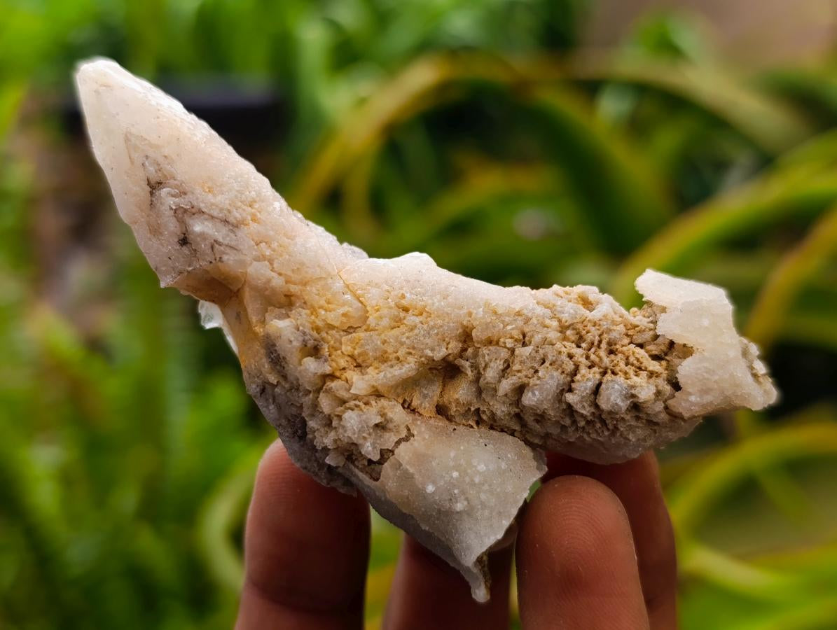 Natural Drusy Quartz Coated Spearhead Calcite Crystals x 24 From Albert's Mountain, Lesotho