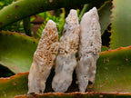 Natural Drusy Quartz Coated Spearhead Calcite Crystals x 24 From Albert's Mountain, Lesotho