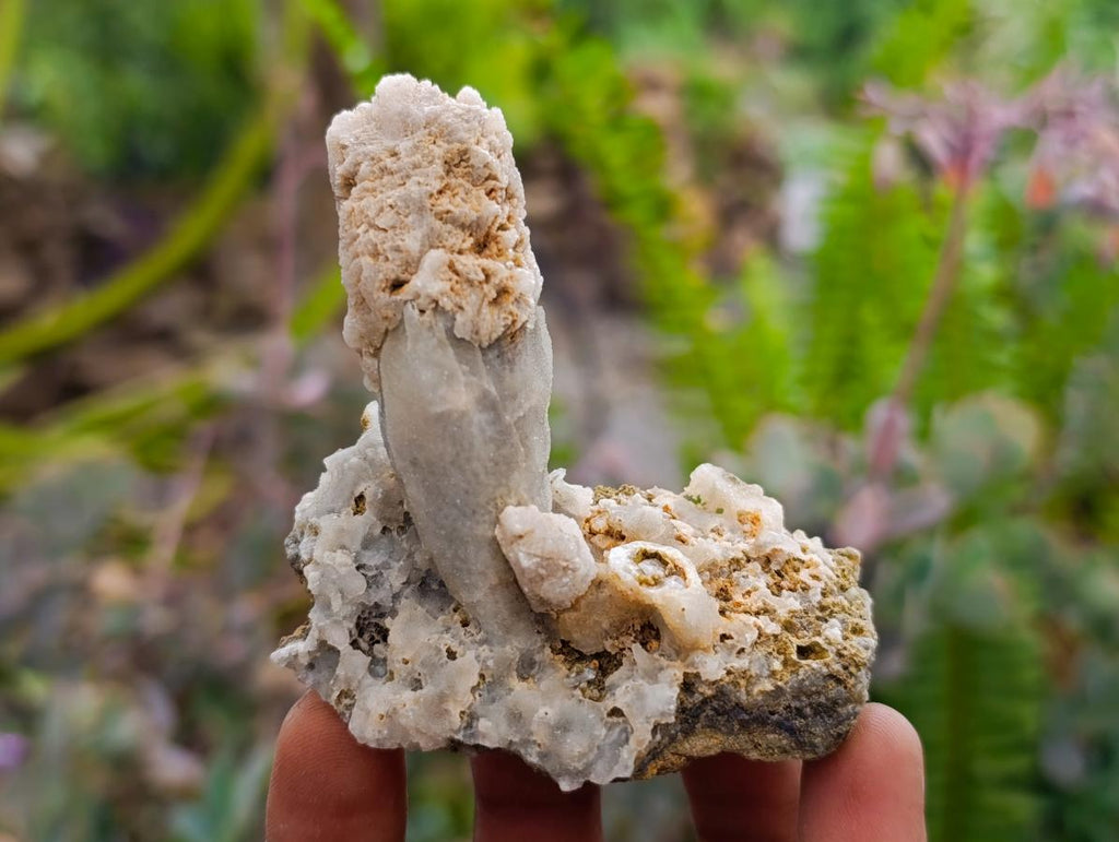 Natural Drusy Quartz Coated Spearhead Calcite Crystals x 24 From Albert's Mountain, Lesotho
