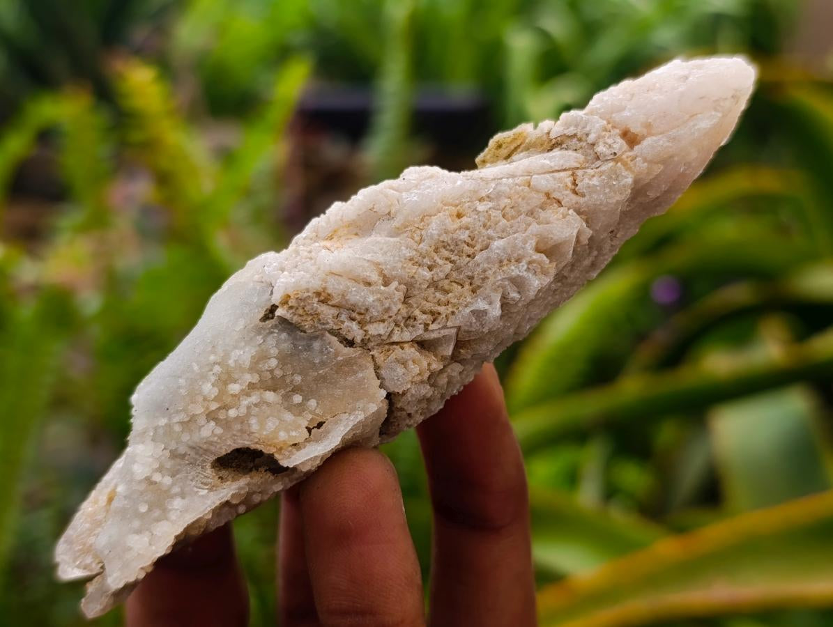 Natural Drusy Quartz Coated Spearhead Calcite Crystals x 24 From Albert's Mountain, Lesotho
