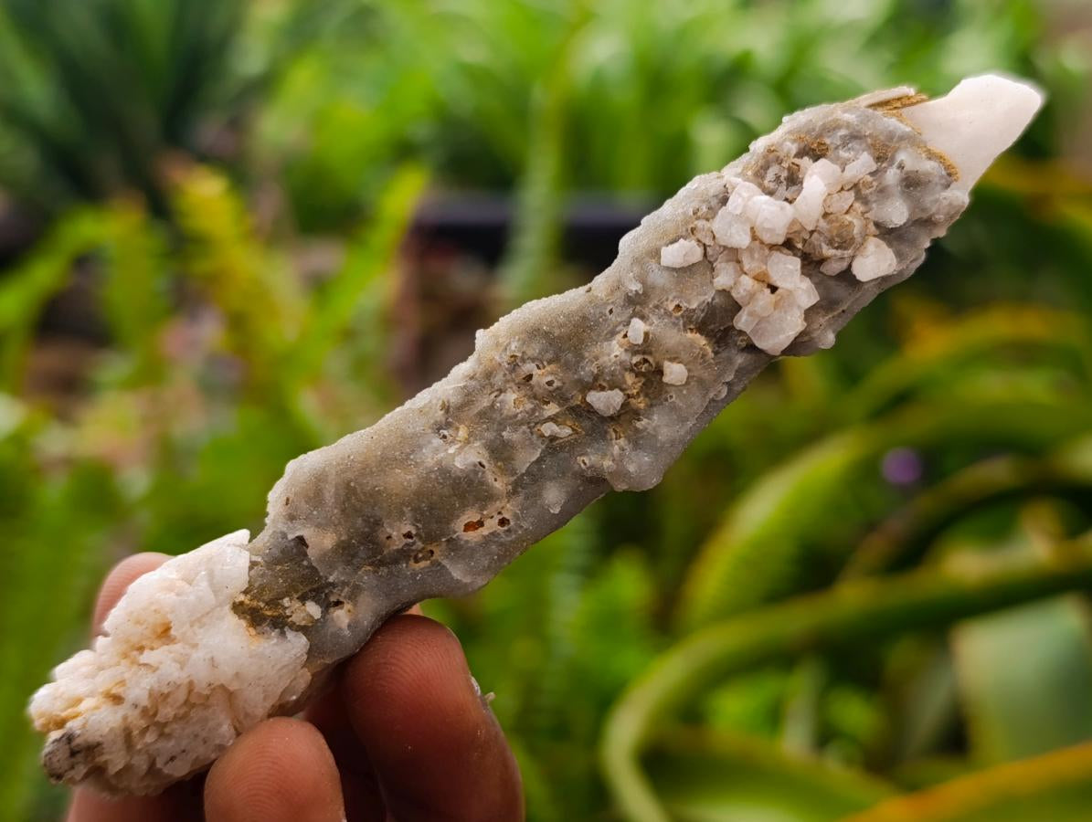 Natural Drusy Quartz Coated Spearhead Calcite Crystals x 24 From Albert's Mountain, Lesotho