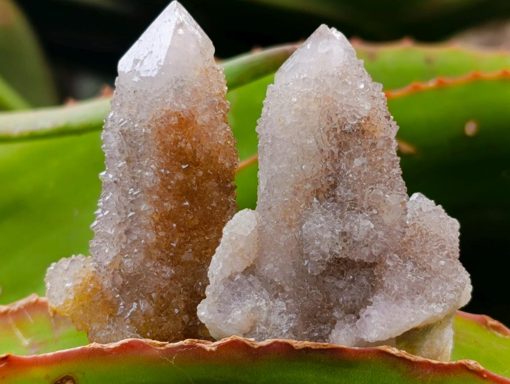 Natural Amethyst Spirit Quartz Crystals x 70 From Boekenhouthoek, South Africa