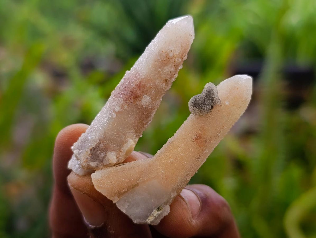 Natural Amethyst Spirit Quartz Crystals x 70 From Boekenhouthoek, South Africa
