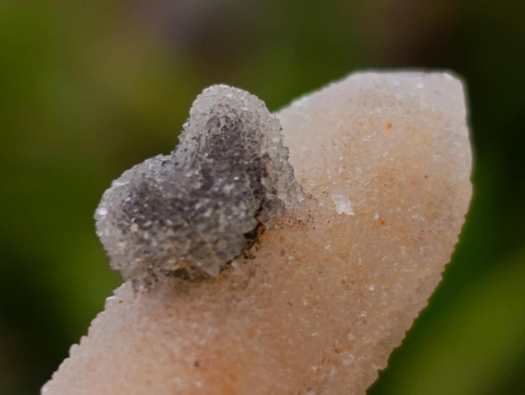 Natural Amethyst Spirit Quartz Crystals x 70 From Boekenhouthoek, South Africa