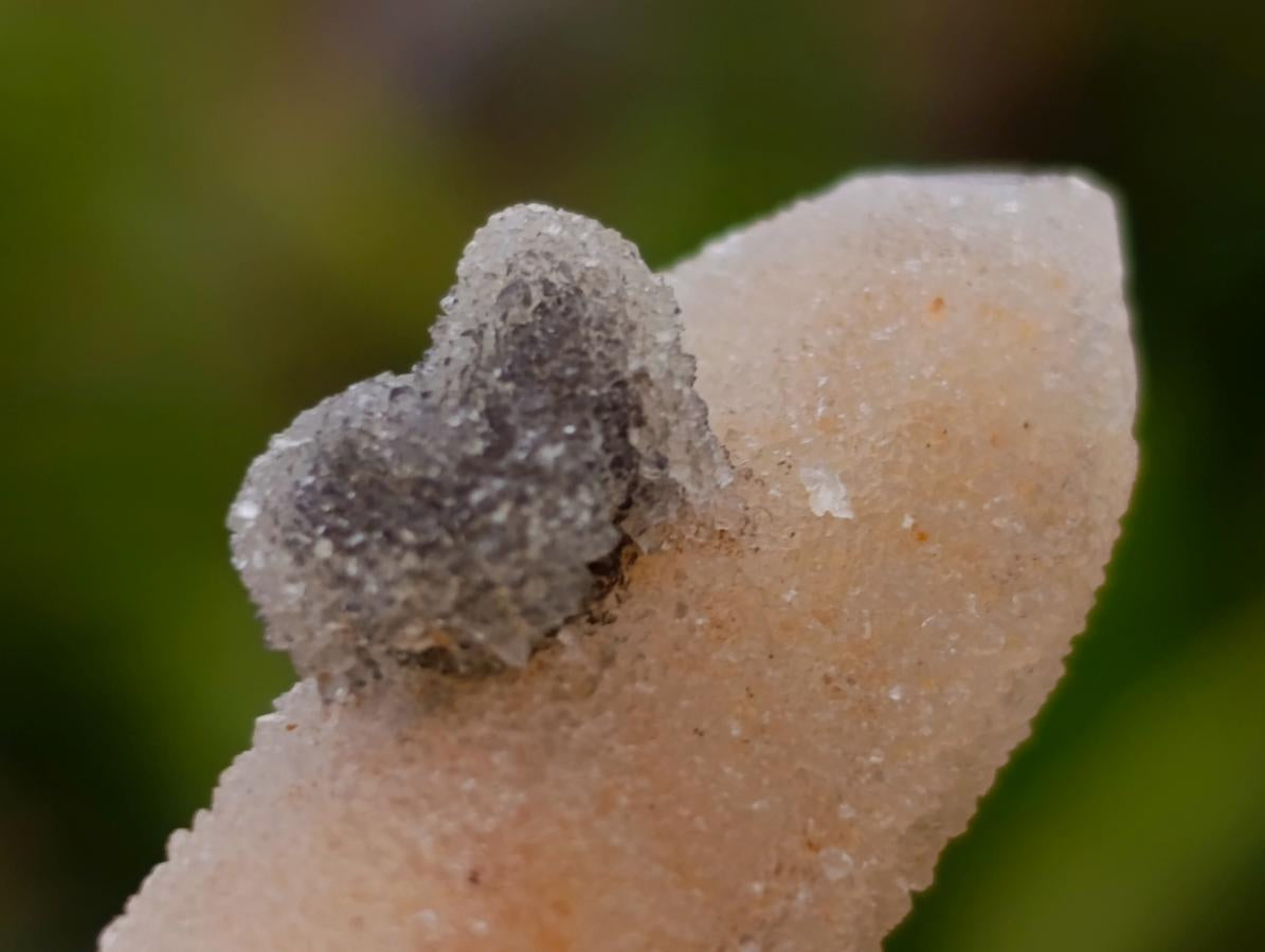 Natural Amethyst Spirit Quartz Crystals x 70 From Boekenhouthoek, South Africa