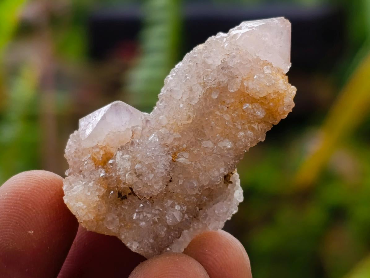 Natural Amethyst Spirit Quartz Crystals x 70 From Boekenhouthoek, South Africa