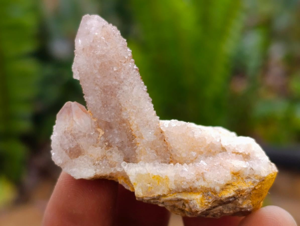 Natural Amethyst Spirit Quartz Crystals x 70 From Boekenhouthoek, South Africa