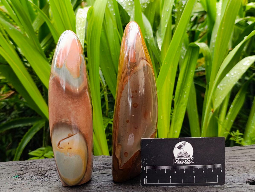 Polished Polychrome Jasper Standing Free Forms x 6 From NW Coast, Madagascar