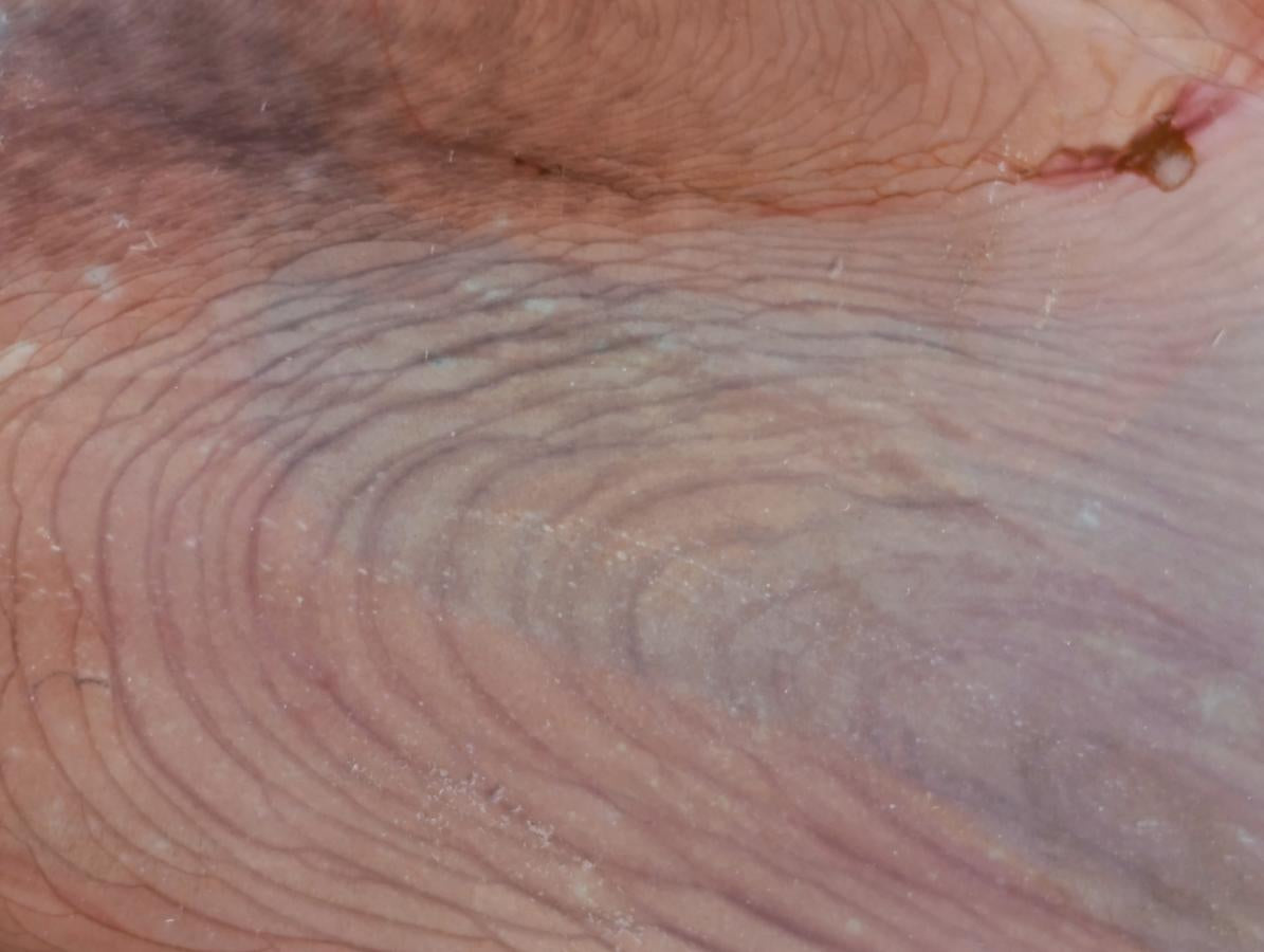 Polished Polychrome Jasper Standing Free Forms x 6 From NW Coast, Madagascar