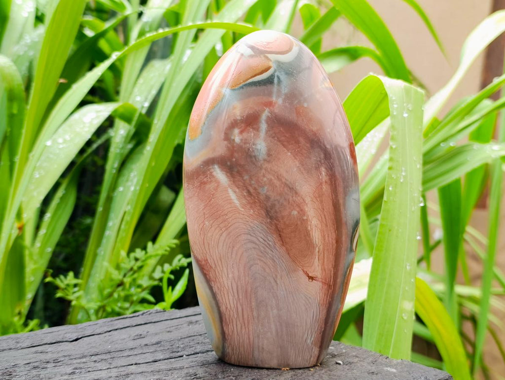 Polished Polychrome Jasper Standing Free Forms x 6 From NW Coast, Madagascar