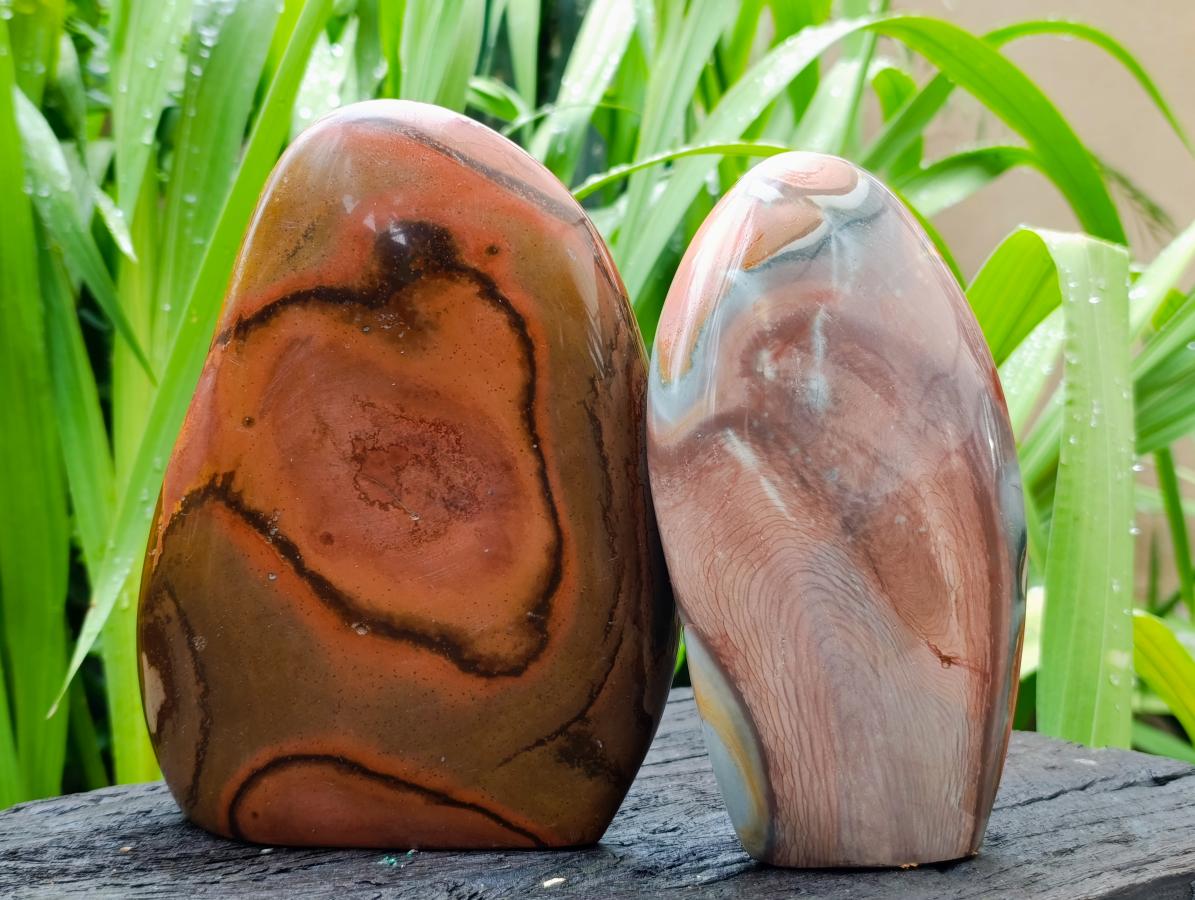 Polished Polychrome Jasper Standing Free Forms x 6 From NW Coast, Madagascar