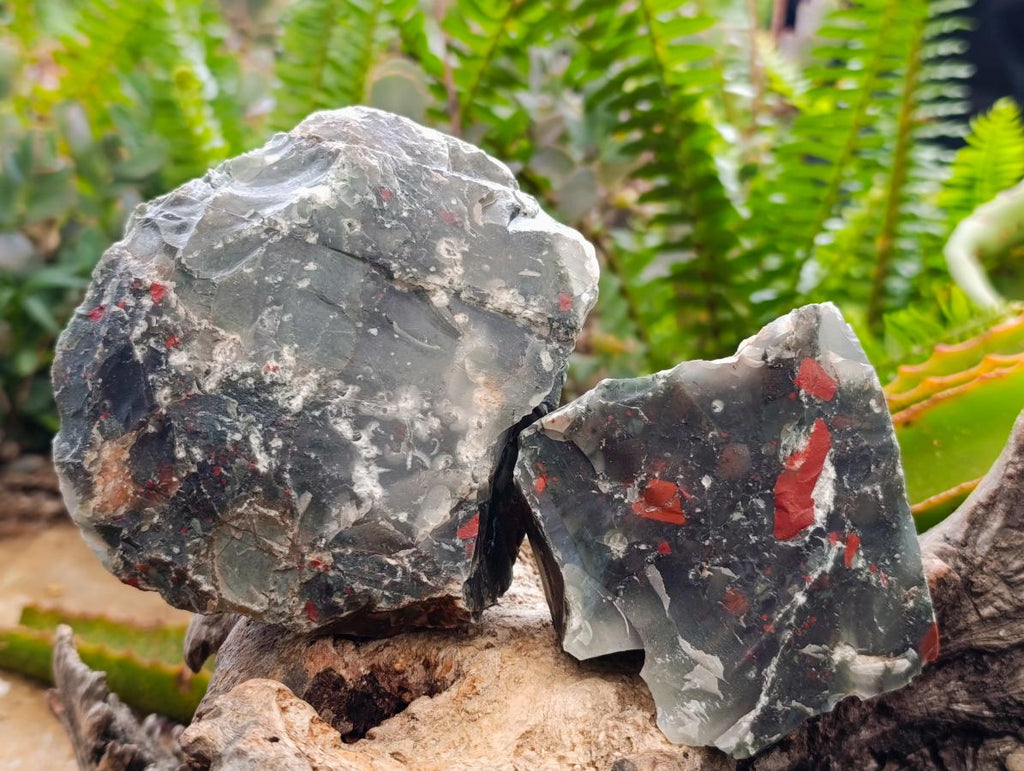 Natural Cobbed Bloodstone Pieces x 4 From Swaziland