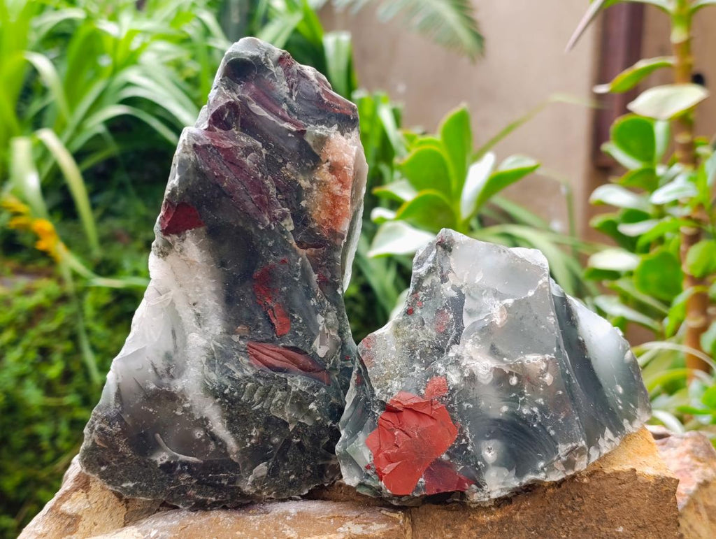 Natural Cobbed Bloodstone Pieces x 4 From Swaziland