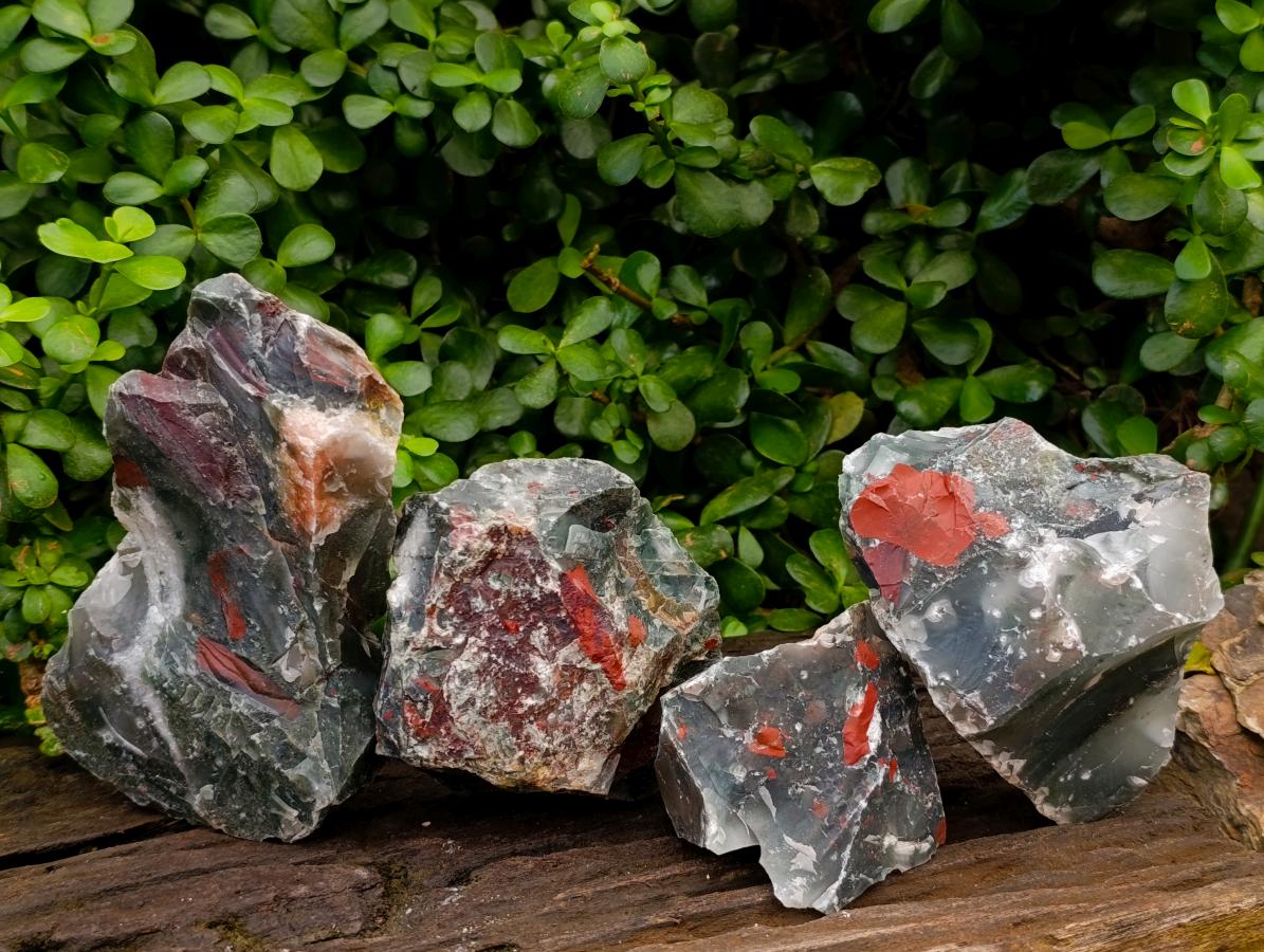 Natural Cobbed Bloodstone Pieces x 4 From Swaziland