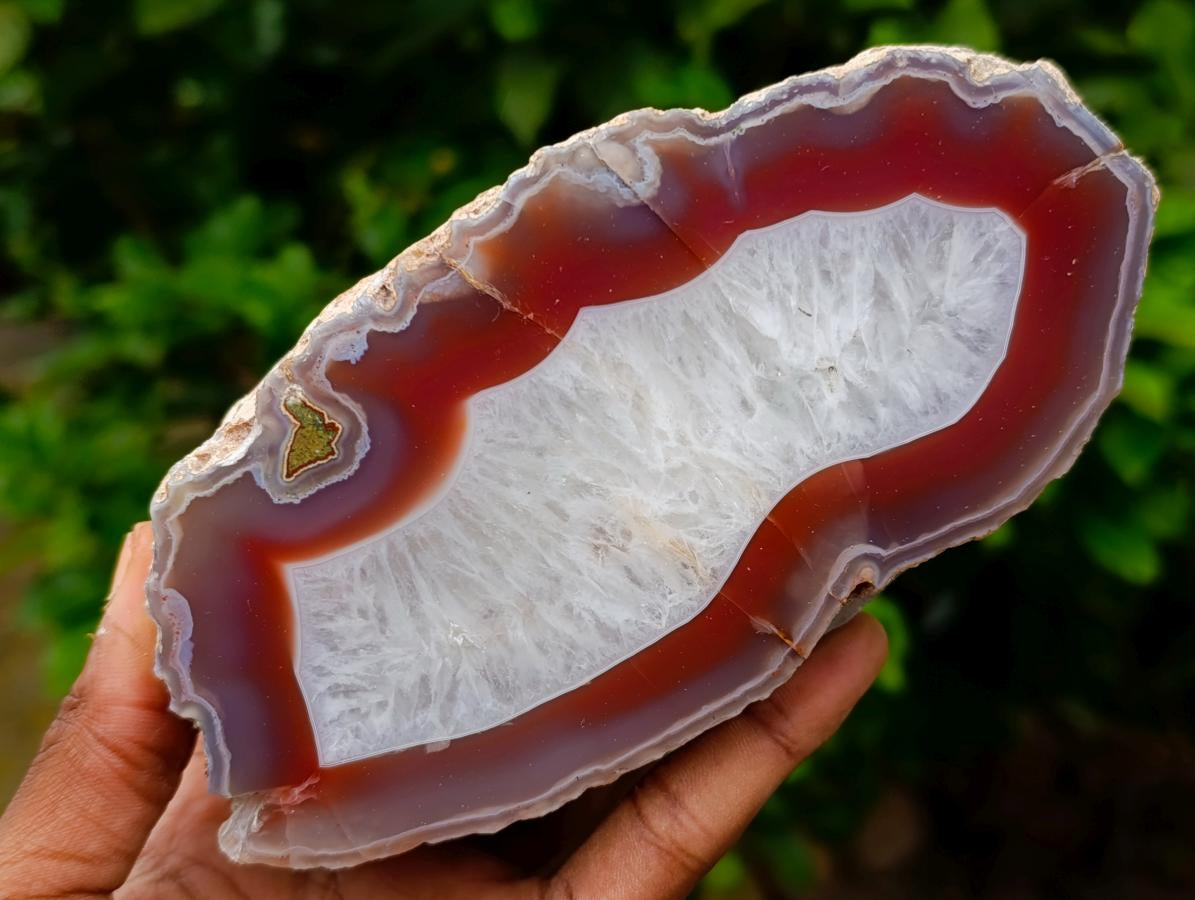 Polished One Side Red Shashe River Agate Nodules x 2 From Shashe River, Zimbabwe