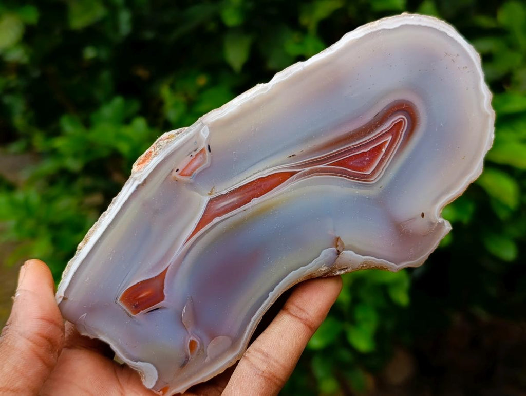 Polished One Side Red Shashe River Agate Nodules x 2 From Shashe River, Zimbabwe