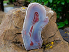 Polished One Side Red Shashe River Agate Nodules x 2 From Shashe River, Zimbabwe