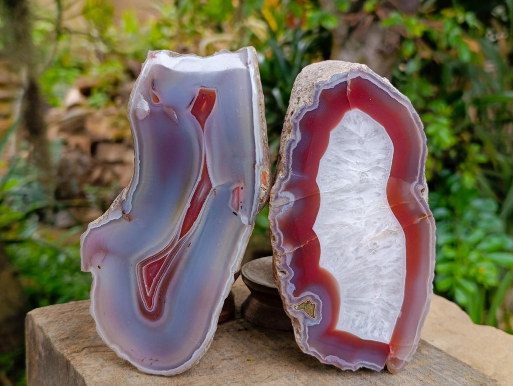 Polished One Side Red Shashe River Agate Nodules x 2 From Shashe River, Zimbabwe