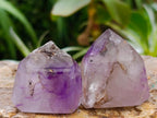 Polished Window Amethyst Crystals x 12 From Akansobe, Madagascar
