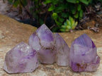 Polished Window Amethyst Crystals x 12 From Akansobe, Madagascar