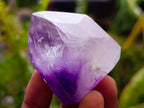 Polished Window Amethyst Crystals x 12 From Akansobe, Madagascar