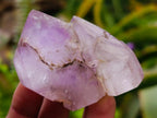Polished Window Amethyst Crystals x 12 From Akansobe, Madagascar