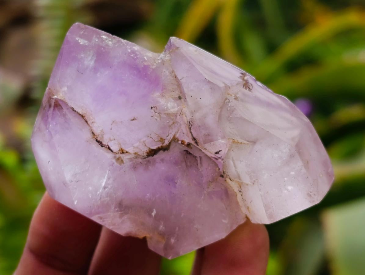 Polished Window Amethyst Crystals x 12 From Akansobe, Madagascar