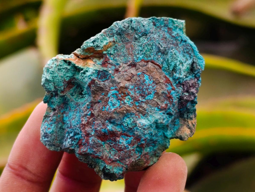 Natural Rough Shattuckite Specimens x 35 From Kaokoveld, Namibia