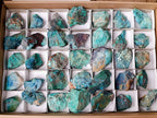 Natural Rough Shattuckite Specimens x 35 From Kaokoveld, Namibia