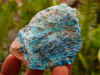 Natural Rough Shattuckite Specimens x 35 From Kaokoveld, Namibia