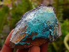 Natural Rough Shattuckite Specimens x 35 From Kaokoveld, Namibia