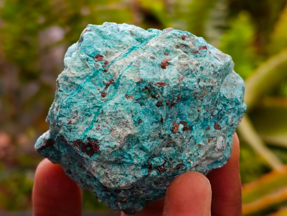 Natural Rough Shattuckite Specimens x 35 From Kaokoveld, Namibia