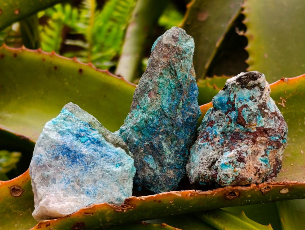 Natural Rough Shattuckite Specimens x 35 From Kaokoveld, Namibia