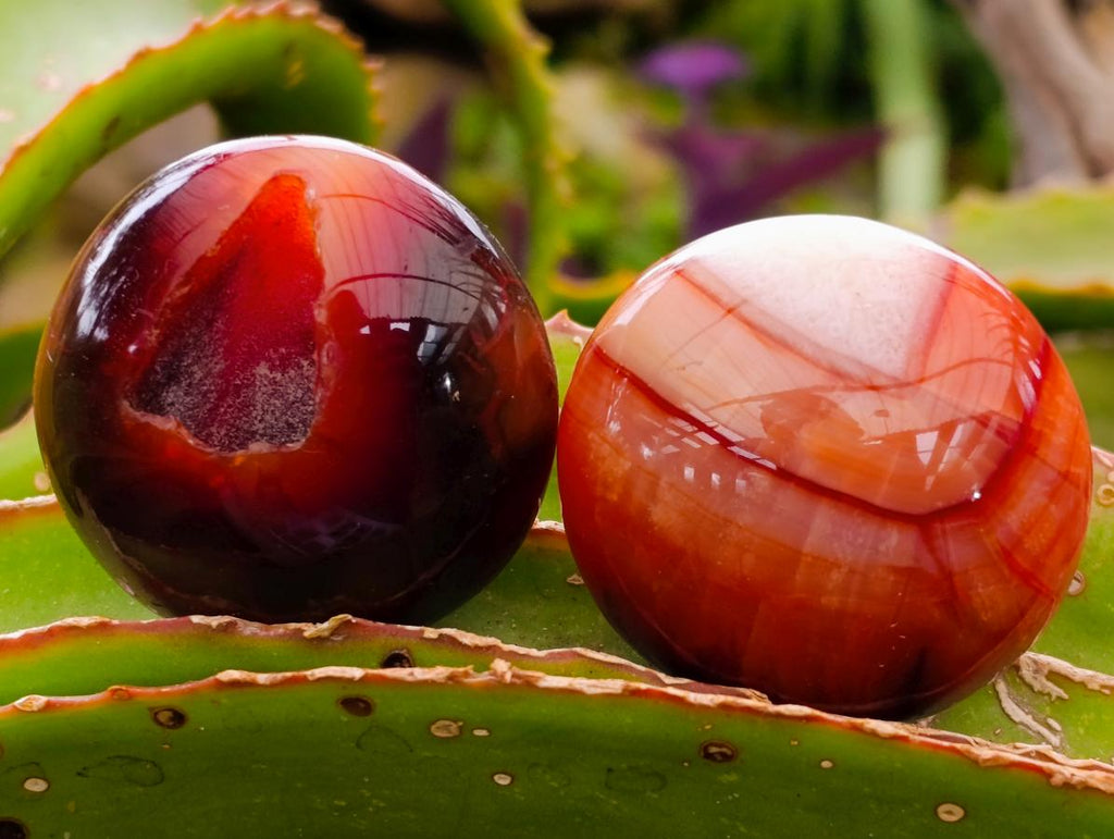 Polished Carnelian Agate Gemstone Galets x 20 From Madagascar