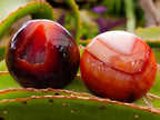 Polished Carnelian Agate Gemstone Galets x 20 From Madagascar