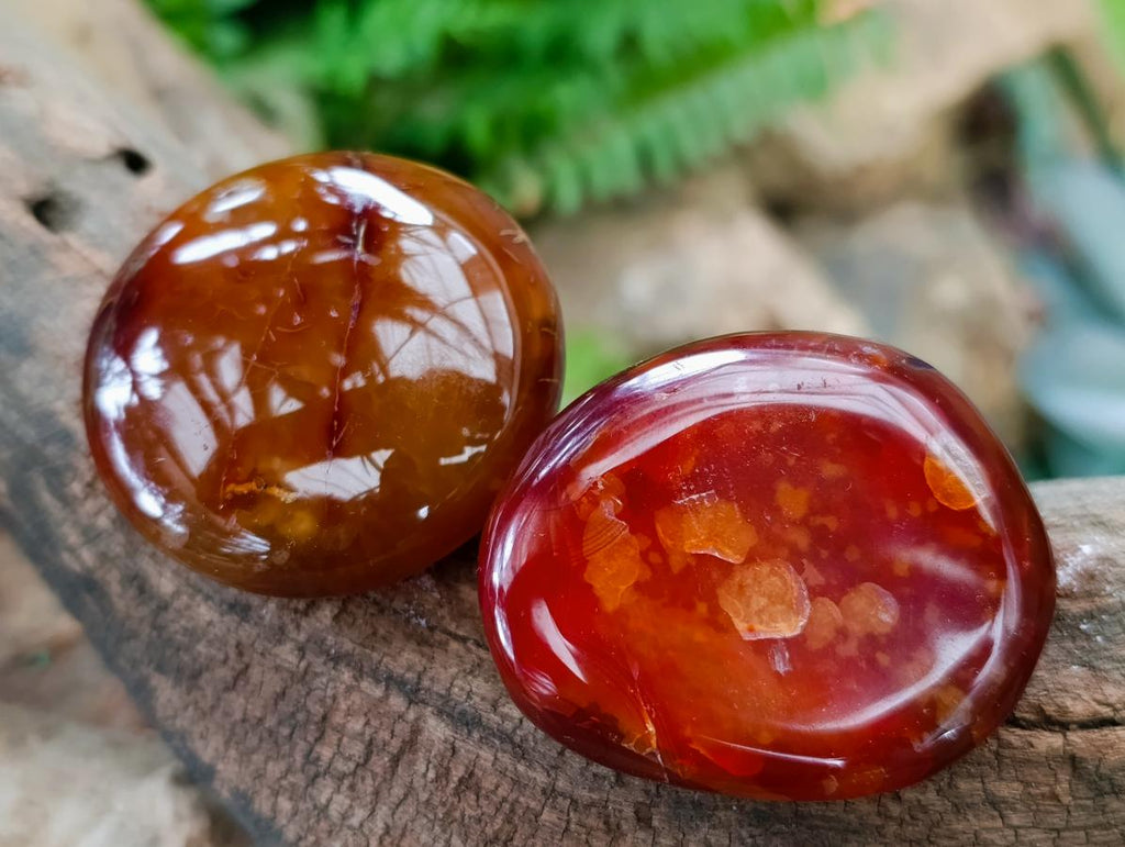 Polished Carnelian Agate Gemstone Galets x 20 From Madagascar